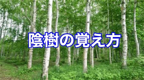 陽樹 種類|雑木林の遊歩道～植生【陽樹・陰樹・落葉樹・常緑樹・広葉樹・。